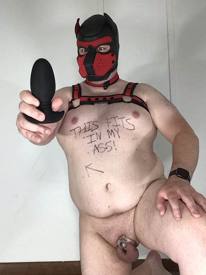 Locked puppy Cieirn shows his toys (pt3)