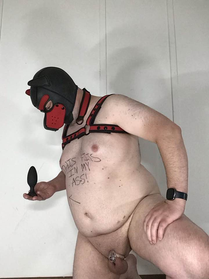 Locked puppy Cieirn shows his toys (pt2)