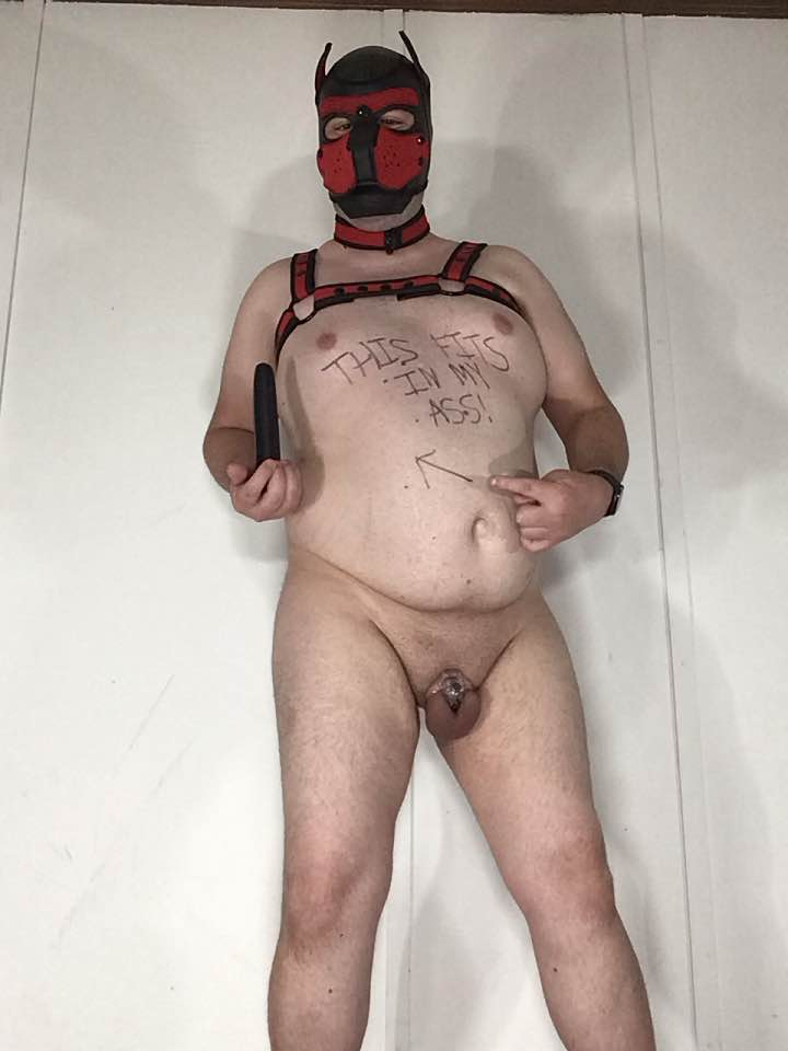 Locked puppy Cieirn shows his toys (pt1)