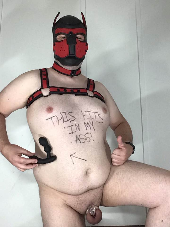 Locked puppy Cieirn shows his toys (pt1)