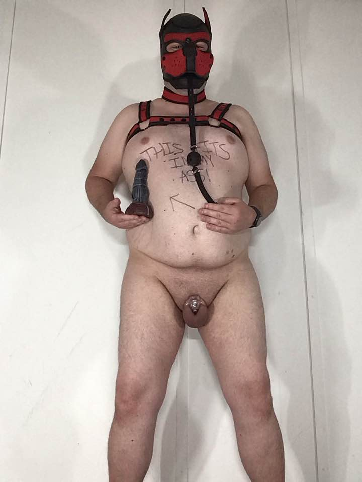 Locked puppy Cieirn shows his toys (pt2)