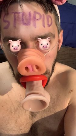 Stupid f*ggot.. add the pig and abuse him