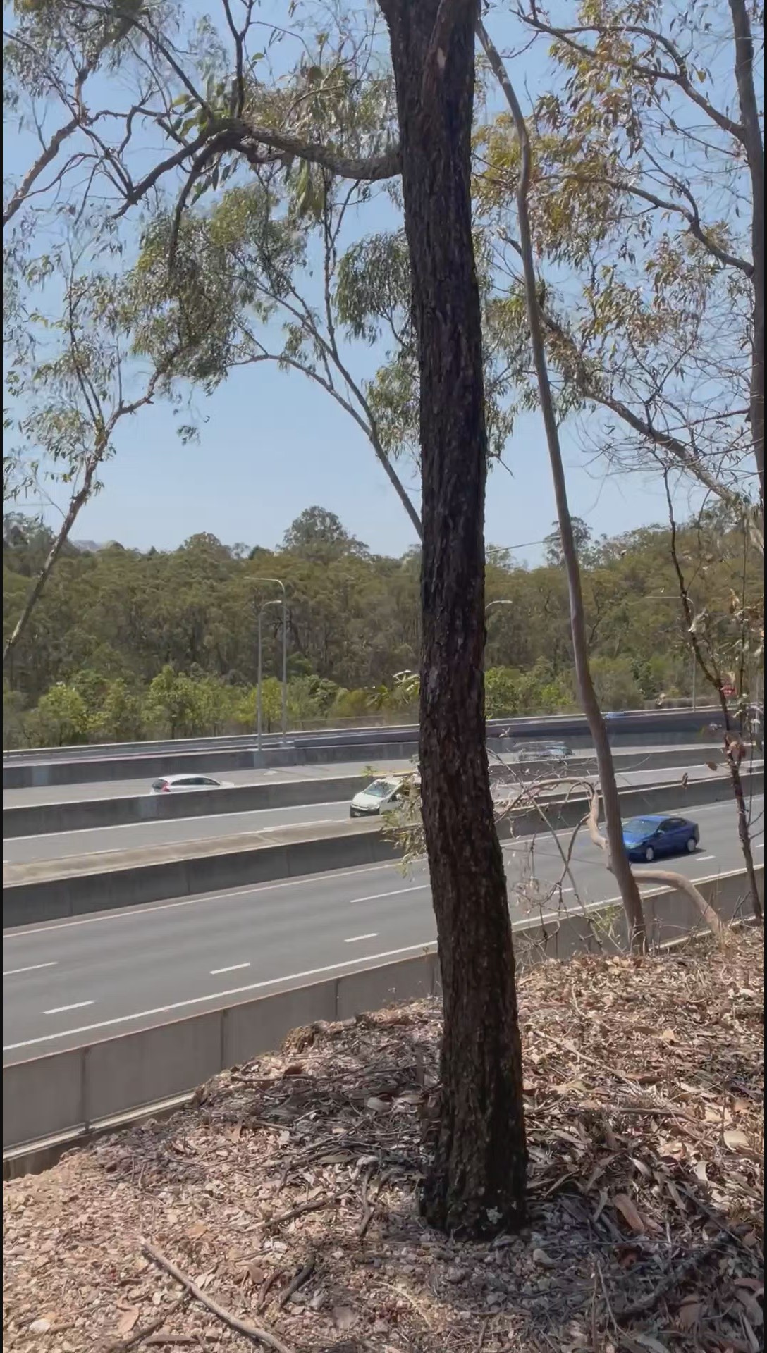 Rob Venuta poses nude beside a busy road