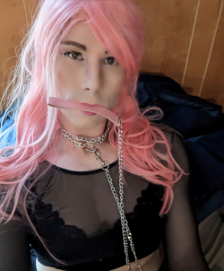 Leashed Sissy Pet Brittany