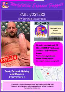 0008 – Paul Vosters ~