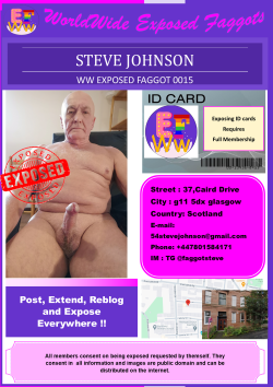 0015 – Steve Johnson ~