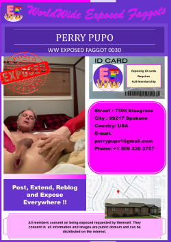 0030 – Perry Pupo ~