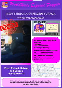 0033 – Jesús Fernando Fernández García ~