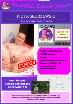 0020 – Piotr Skorzewski
