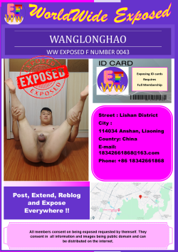 0043 – wanglonghao