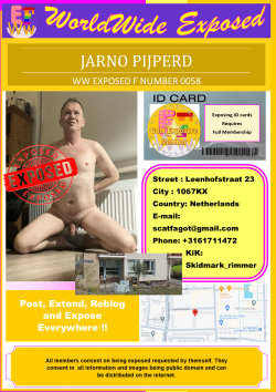 0058 – Jarno Pijperd