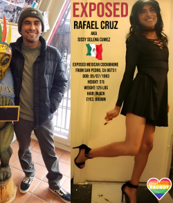 Mexican Sissy Bitch Selena Cumez AKA Rafael Cruz Exposed