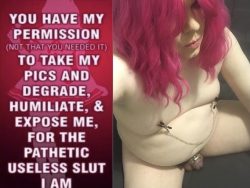 Degrade, humiliate, and expose the useless sissy sl*t Donna