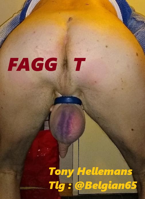 Tony Hellemans f*ggot exposed