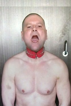 hard fuck, cock sucking, boot licking, naked and shaved