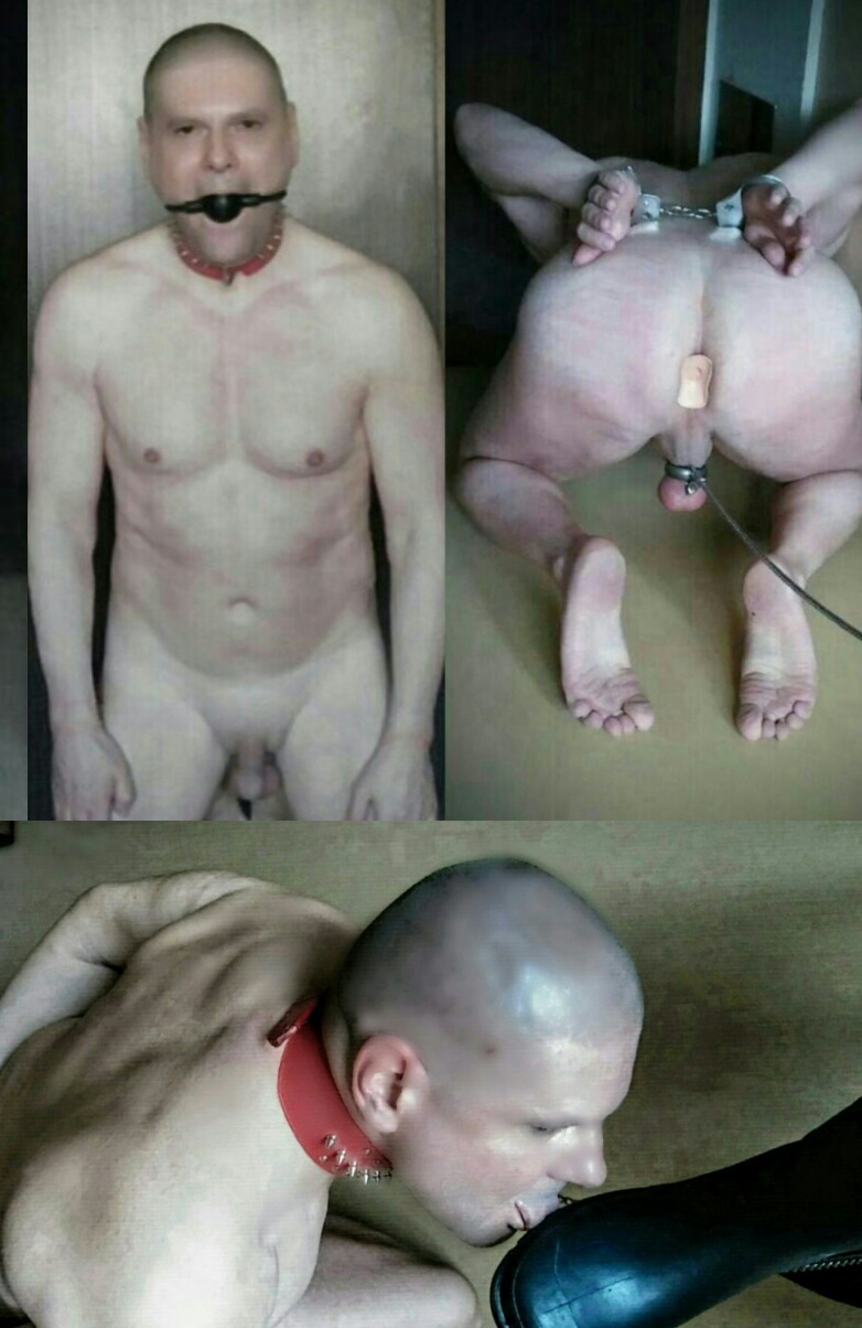 24/7 slave pig naked and completely shaved