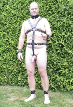 Sklave Thomas Schmidt.  You look so good I love the harness I wish I was there with you we can fuck each other in the ass for your master