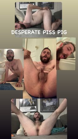 pathetic exposed canadian piss pig. kik hornycockpig