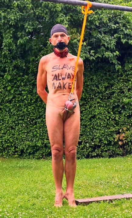 naked slave pig exposed punished outdoor humiliating body writing