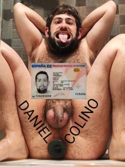 DANIEL COLINO