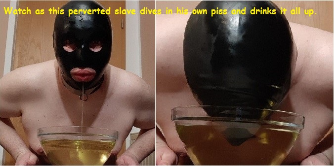 Exposure of the German piss slave,, FAGOT WHITE PISS SLAVE HUMILIATED LOSER DOESN’T EVEN H ...