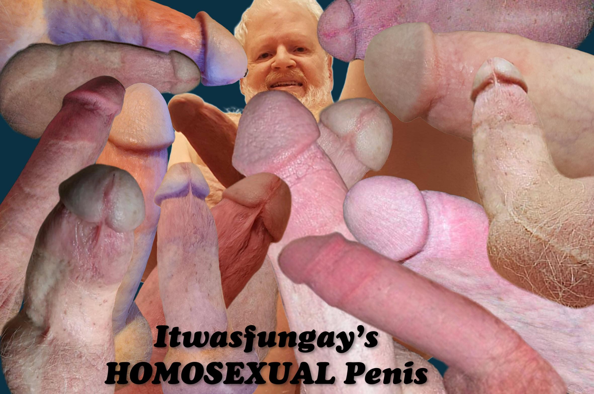 Itwasfungay HOMOSEXUAL.  Fuck me GAY!