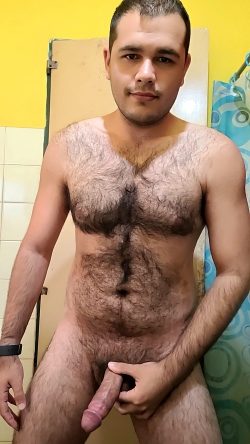 Hubxxx78 bear hairy