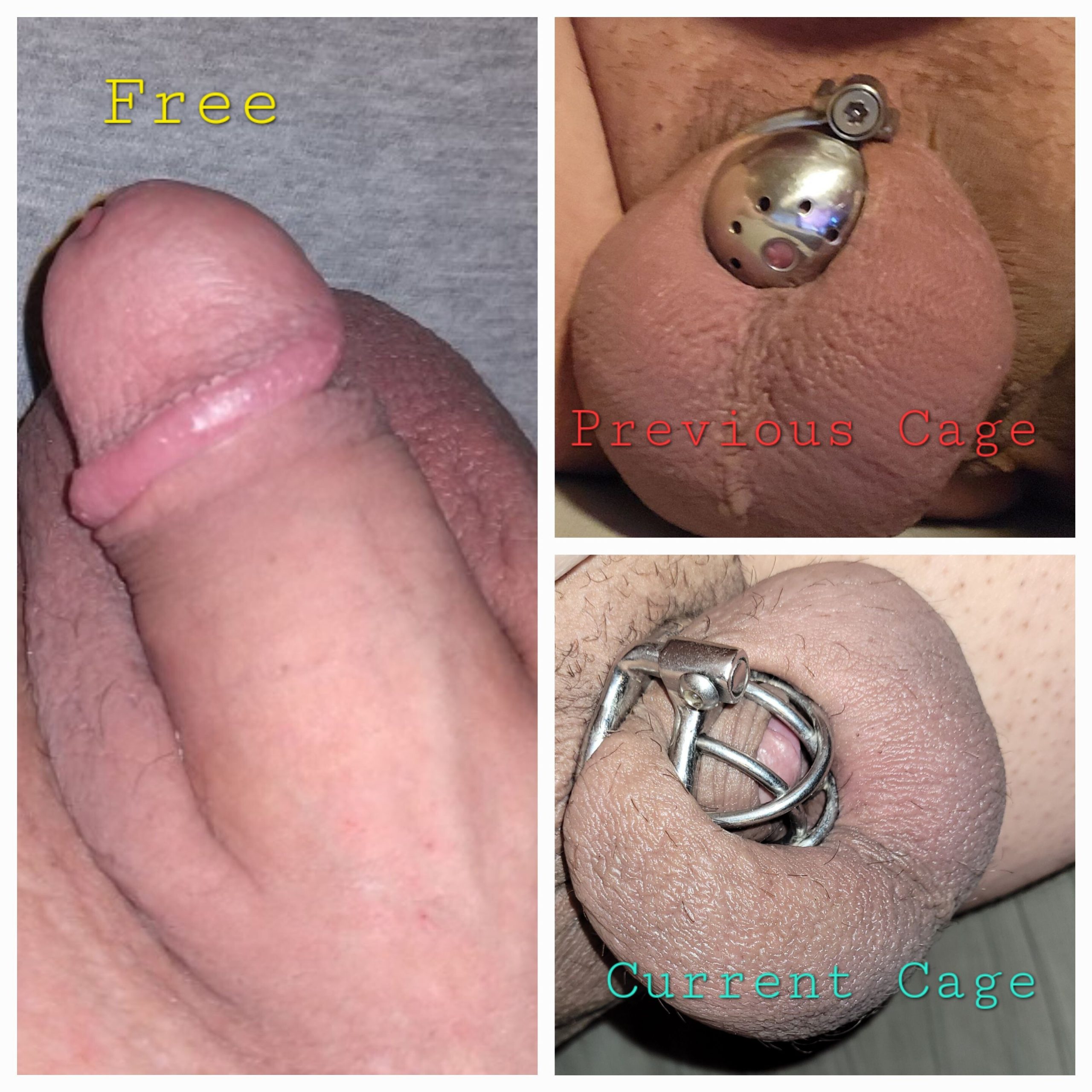 Fat chastity f*g