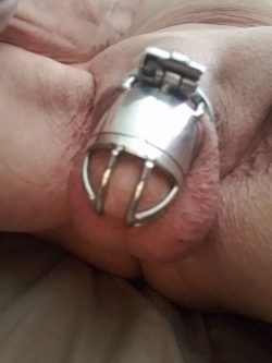 Caged f*ggot willobeyU.  sucks cocks for locktober