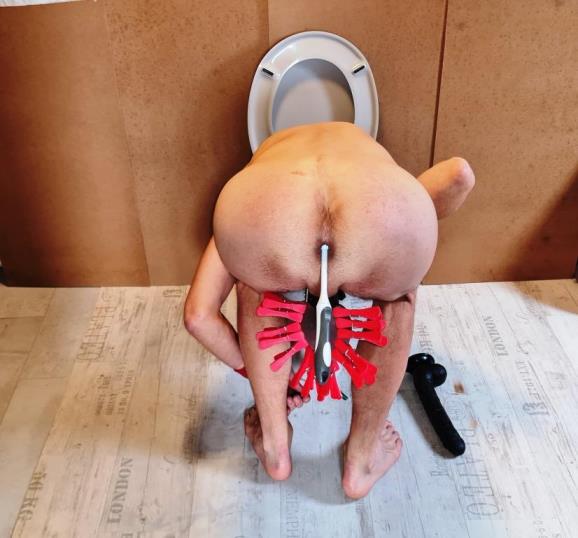 naked toilet slave pig exposed lick the bowl