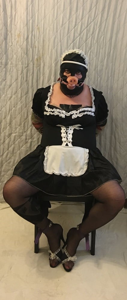 Sissy Sasha Pig