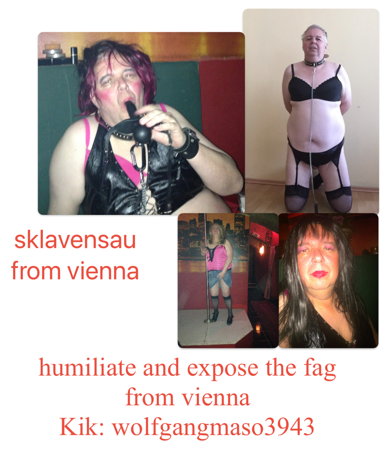 f*g/slave from Vienna