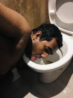 Professional Toilet & Urinal Licker