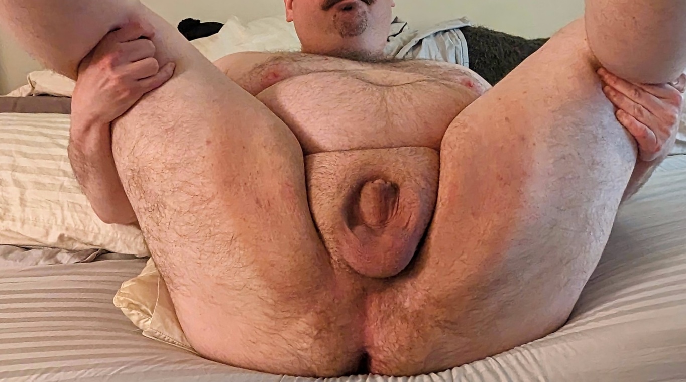 Rat pig ass