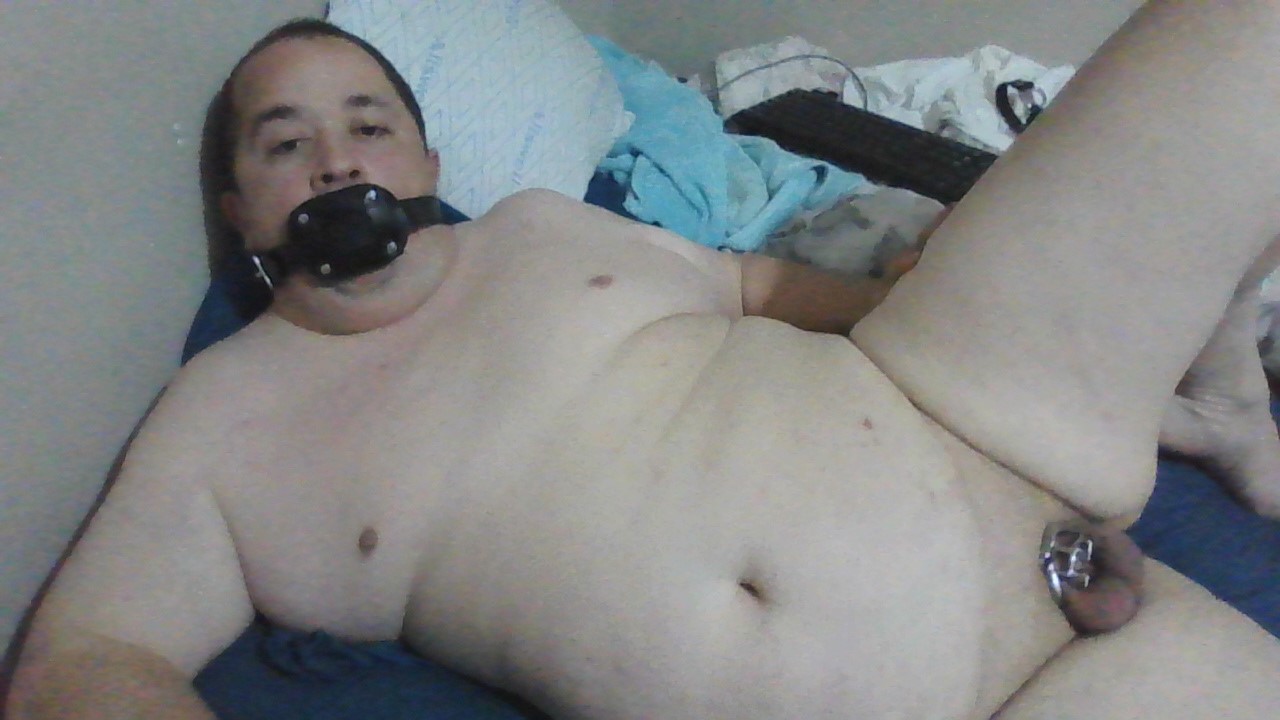 Fat Chastity Pig looking for owner