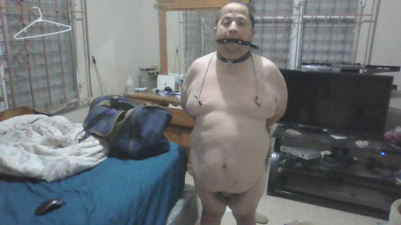 Fat Chastity Pig looking for owner