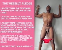 Websl*t Pledge