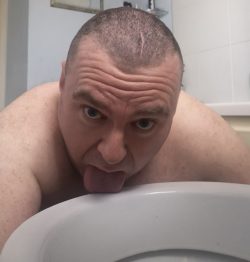 ~ Butchbeardub – Stupid fat f*ggot slave licking the toilet