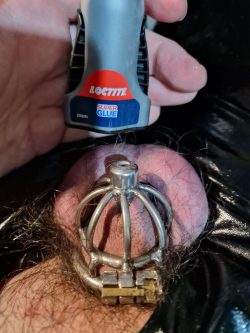 Should I superglue my chastity??