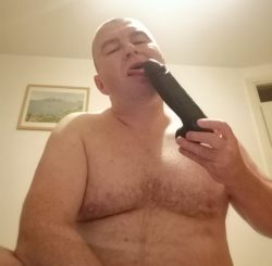 ~ Butchbeardub  – Fat f*ggot sucking on a dildo