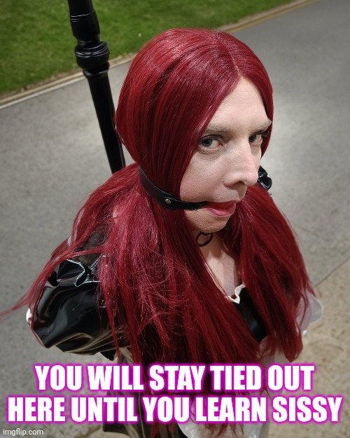 SissyNicky  – More captions made from my pics!