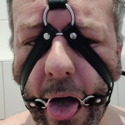 Fat f*g Christian Hostettler steruks