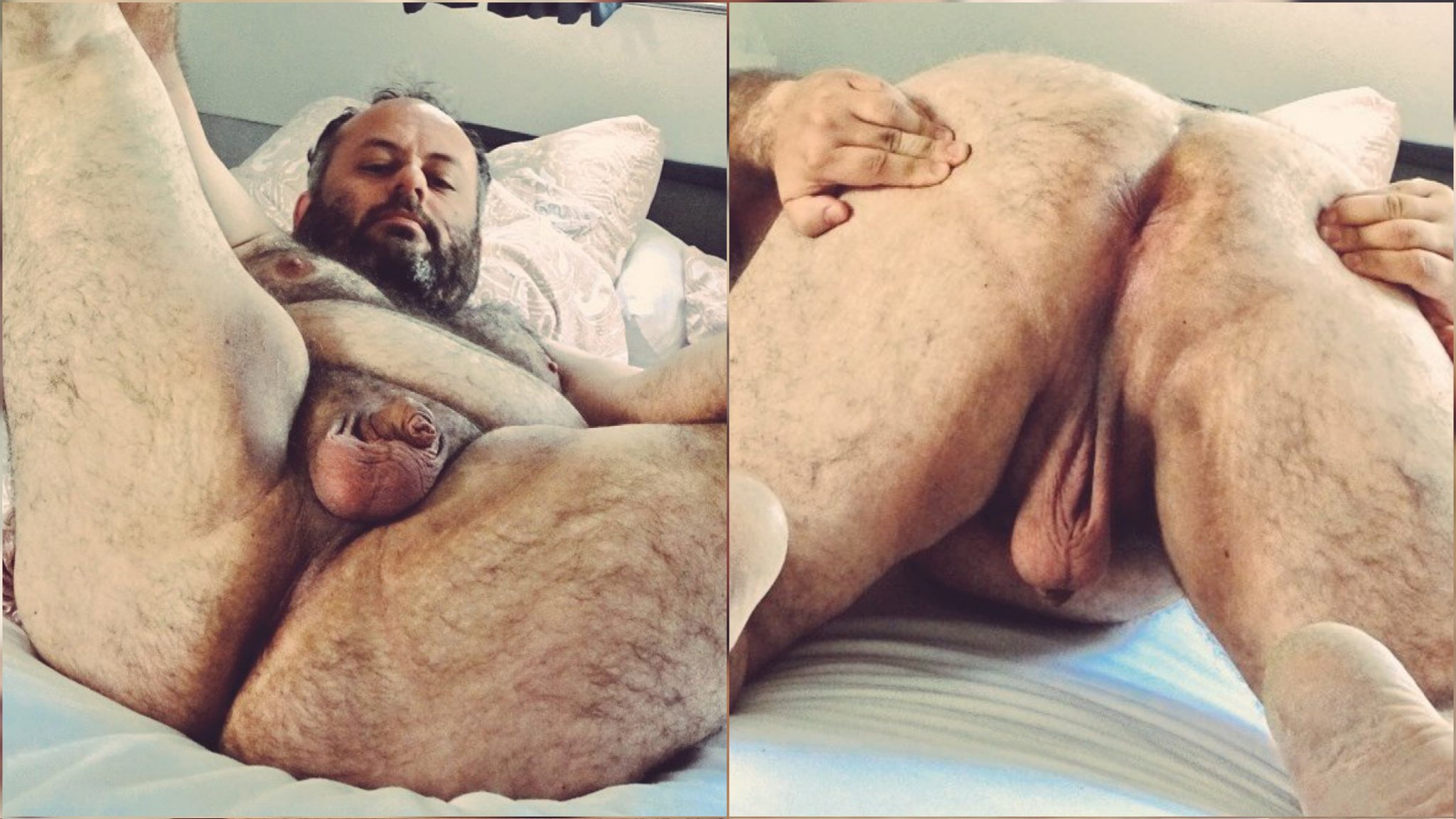 Fat f*g Christian Hostettler steruks