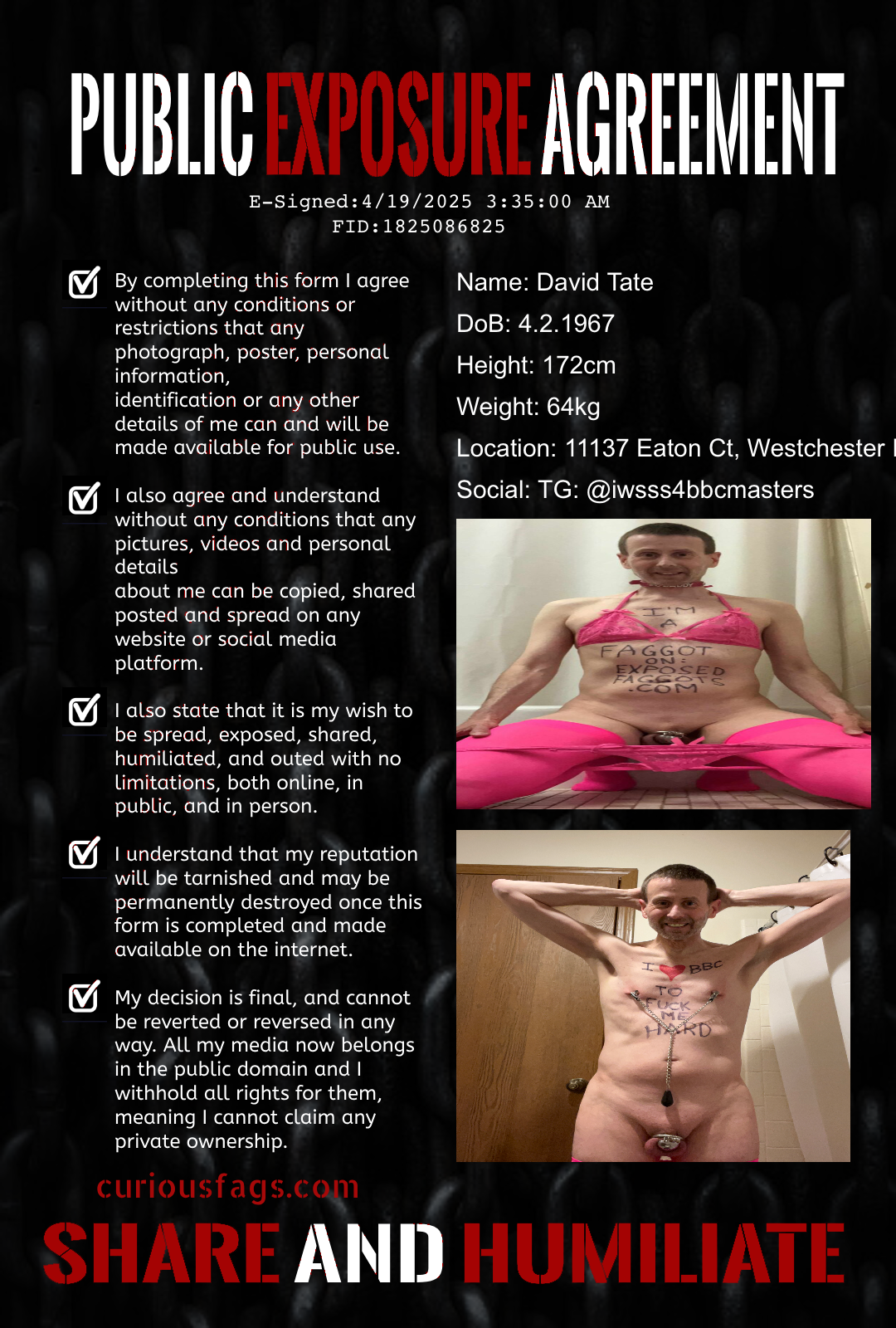 David Tate is Sissy Dani for BBC