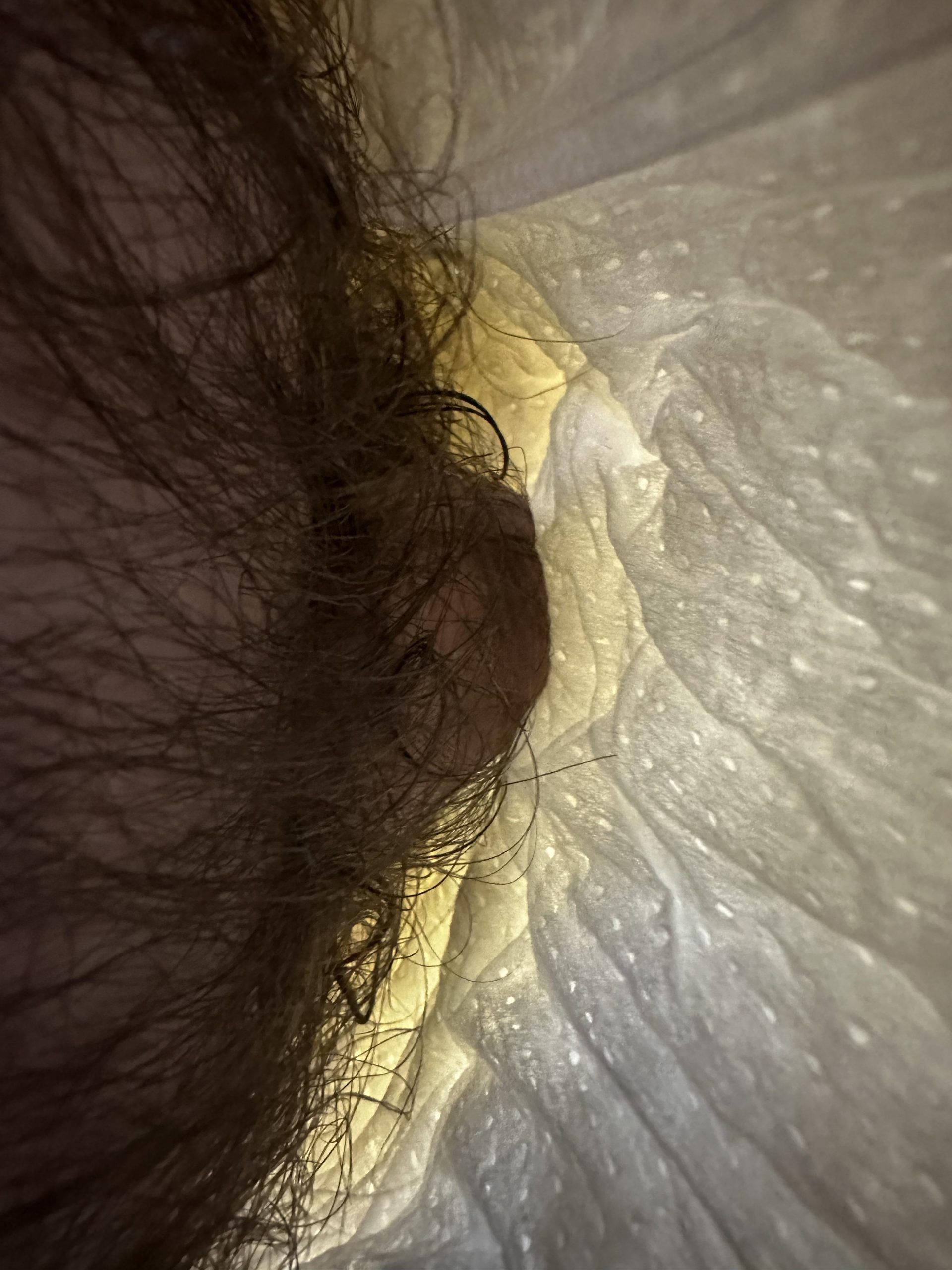 Blmwet1 – diaper filling f*g