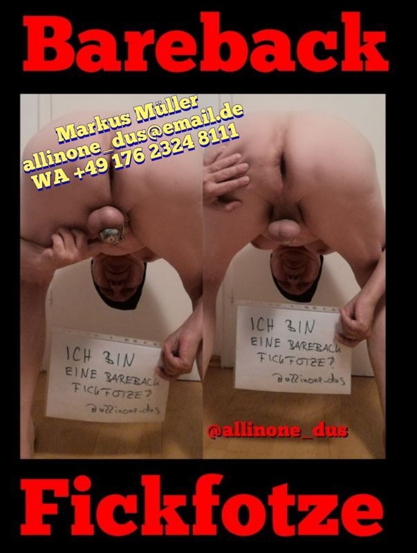 Allinone_dus – Toilet Pig Allinone from Germany