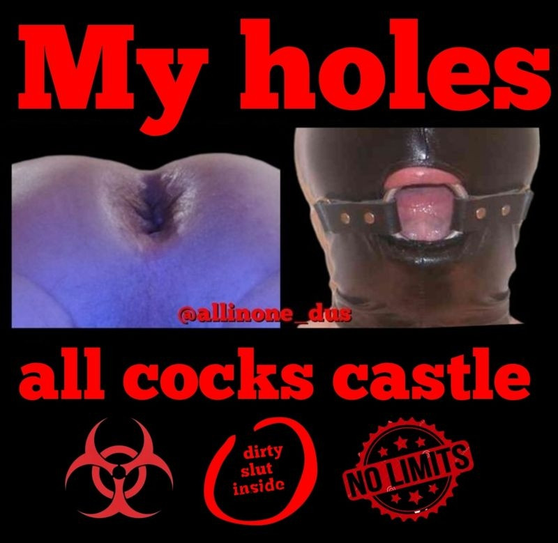 Allinone_dus – Toilet Pig Allinone from Germany