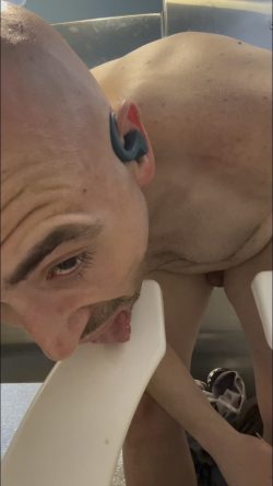 Betaloserbobbi simpso – Nikki’s wheelspin Toilet licking loser