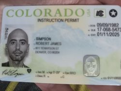 Bobby Simpson  – Betaloserbobbi exposed fr