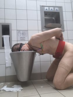 f*gwalt – public toilet again